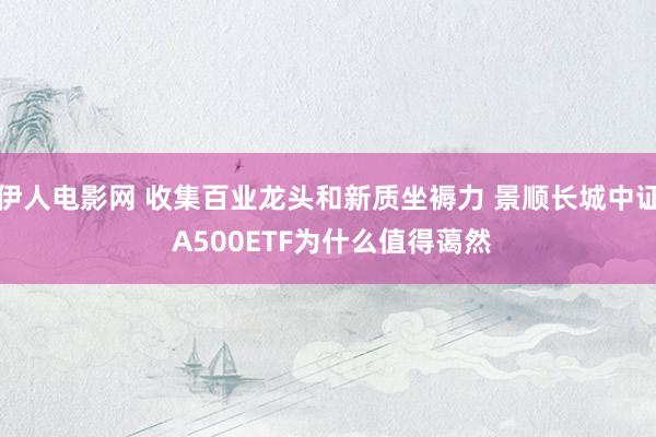 伊人电影网 收集百业龙头和新质坐褥力 景顺长城中证 A500ETF为什么值得蔼然