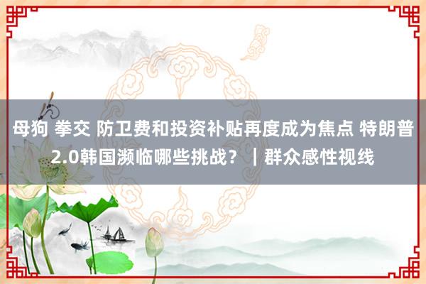 母狗 拳交 防卫费和投资补贴再度成为焦点 特朗普2.0韩国濒临哪些挑战？｜群众感性视线