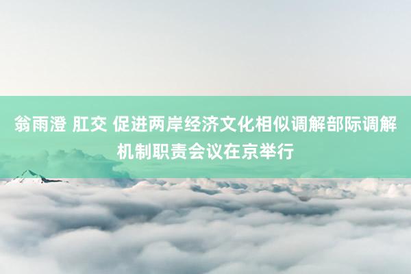 翁雨澄 肛交 促进两岸经济文化相似调解部际调解机制职责会议在京举行
