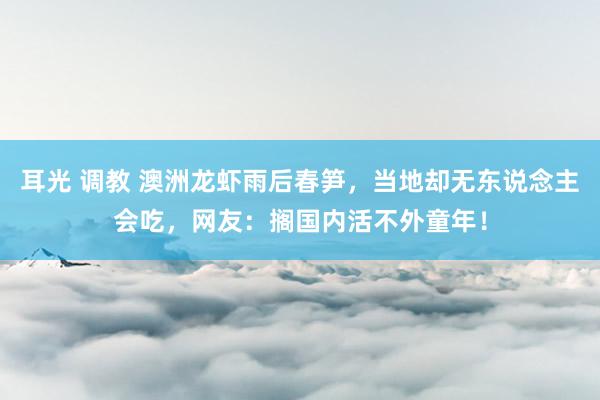 耳光 调教 澳洲龙虾雨后春笋，当地却无东说念主会吃，网友：搁国内活不外童年！