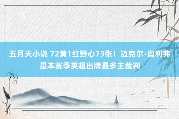 五月天小说 72黄1红野心73张！迈克尔-奥利弗是本赛季英超出牌最多主裁判