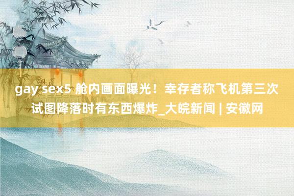 gay sex5 舱内画面曝光！幸存者称飞机第三次试图降落时有东西爆炸_大皖新闻 | 安徽网