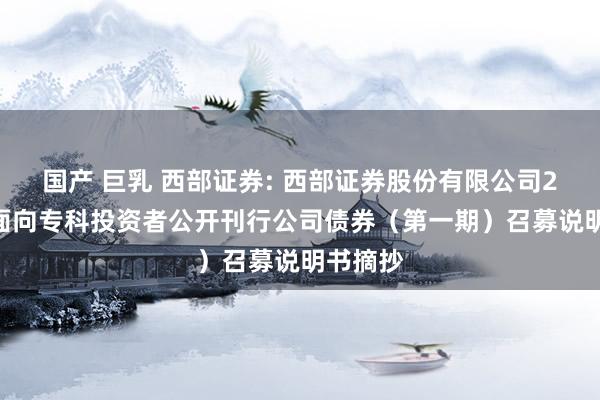 国产 巨乳 西部证券: 西部证券股份有限公司2025年面向专科投资者公开刊行公司债券(第一期)召募说明书摘抄