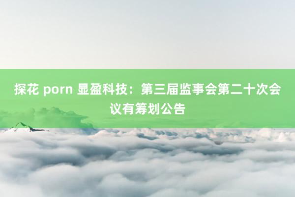 探花 porn 显盈科技:第三届监事会第二十次会议有筹划公告