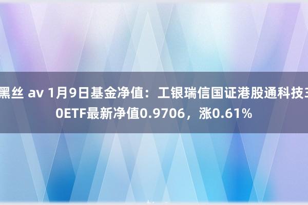 黑丝 av 1月9日基金净值：工银瑞信国证港股通科技30ETF最新净值0.9706，涨0.61%