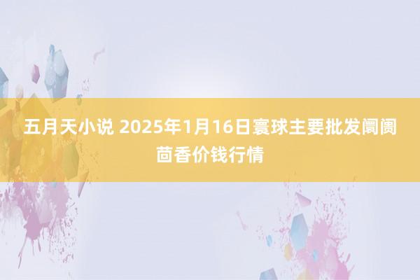 五月天小说 2025年1月16日寰球主要批发阛阓茴香价钱行情