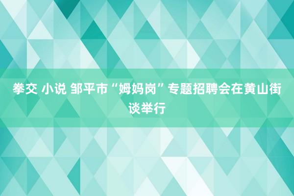 拳交 小说 邹平市“姆妈岗”专题招聘会在黄山街谈举行