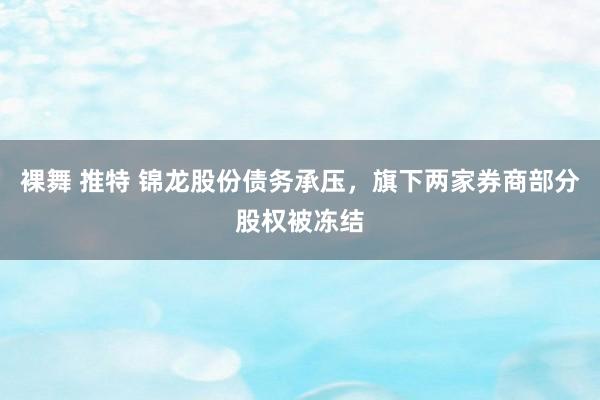 裸舞 推特 锦龙股份债务承压，旗下两家券商部分股权被冻结