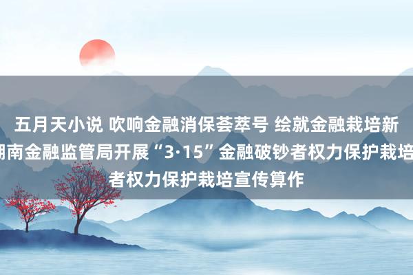 五月天小说 吹响金融消保荟萃号 绘就金融栽培新图景——湖南金融监管局开展“3·15”金融破钞者权力保护栽培宣传算作
