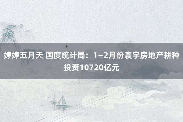 婷婷五月天 国度统计局：1—2月份寰宇房地产耕种投资10720亿元