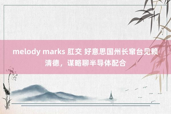 melody marks 肛交 好意思国州长窜台见赖清德，谋略聊半导体配合