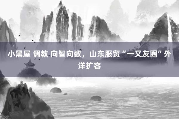 小黑屋 调教 向智向数，山东服贸“一又友圈”外洋扩容