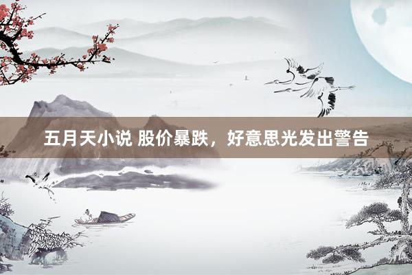 五月天小说 股价暴跌，好意思光发出警告