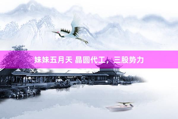 妹妹五月天 晶圆代工，三股势力