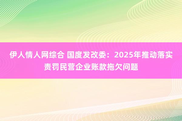 伊人情人网综合 国度发改委：2025年推动落实责罚民营企业账款拖欠问题