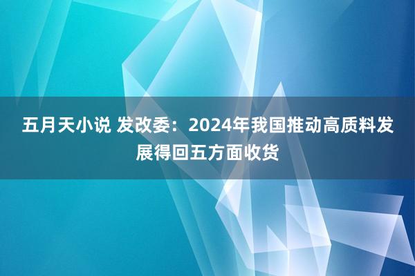 五月天小说 发改委：2024年我国推动高质料发展得回五方面收货
