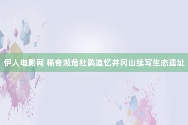 伊人电影网 稀奇濒危杜鹃追忆井冈山续写生态遗址