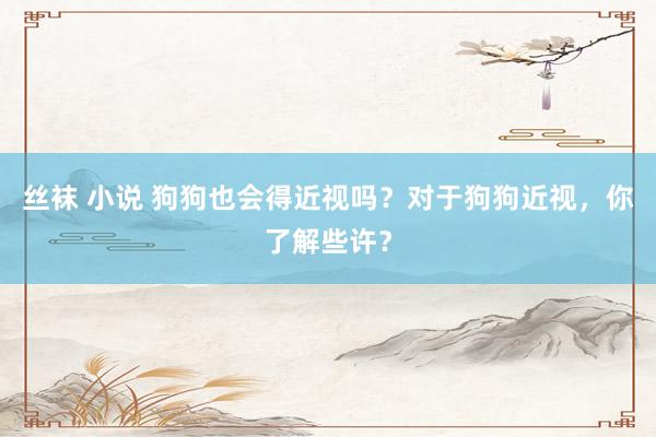 丝袜 小说 狗狗也会得近视吗？对于狗狗近视，你了解些许？