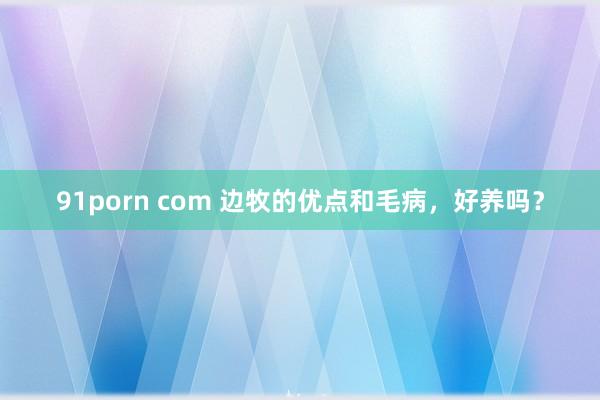 91porn com 边牧的优点和毛病，好养吗？
