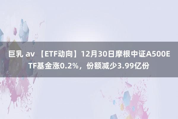 巨乳 av 【ETF动向】12月30日摩根中证A500ETF基金涨0.2%，份额减少3.99亿份