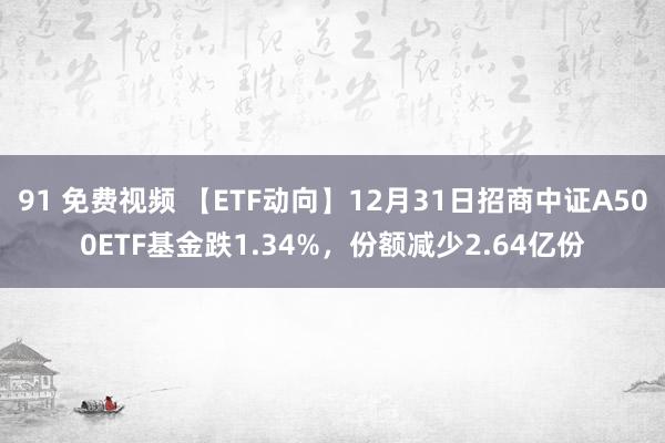 91 免费视频 【ETF动向】12月31日招商中证A500ETF基金跌1.34%，份额减少2.64亿份