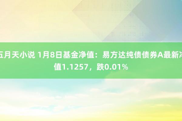 五月天小说 1月8日基金净值：易方达纯债债券A最新净值1.1257，跌0.01%