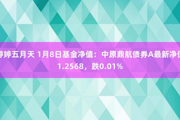 婷婷五月天 1月8日基金净值：中原鼎航债券A最新净值1.2568，跌0.01%