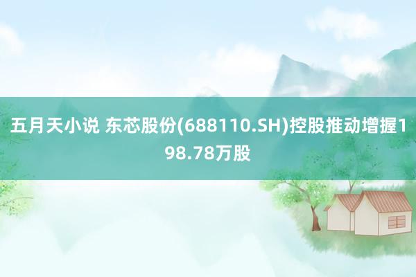 五月天小说 东芯股份(688110.SH)控股推动增握198.78万股