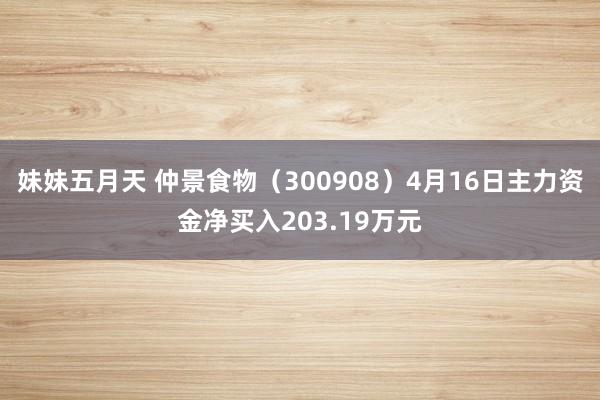 妹妹五月天 仲景食物（300908）4月16日主力资金净买入203.19万元