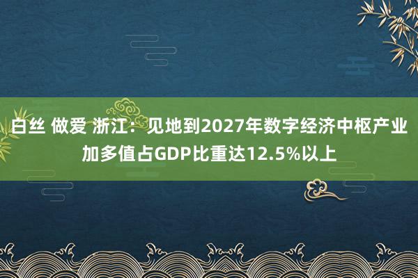 白丝 做爱 浙江：见地到2027年数字经济中枢产业加多值占GDP比重达12.5%以上