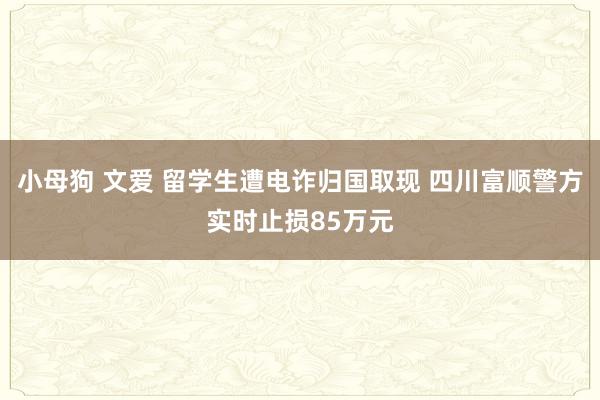 小母狗 文爱 留学生遭电诈归国取现 四川富顺警方实时止损85万元