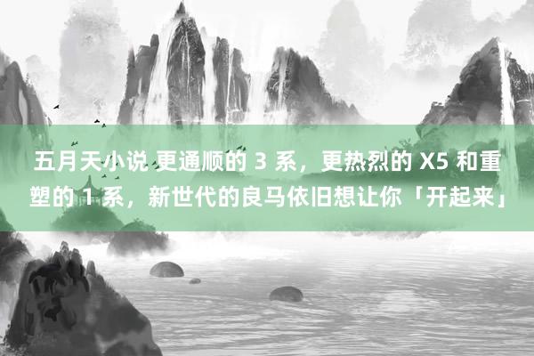 五月天小说 更通顺的 3 系，更热烈的 X5 和重塑的 1 系，新世代的良马依旧想让你「开起来」