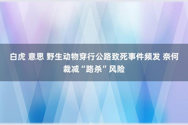 白虎 意思 野生动物穿行公路致死事件频发 奈何裁减“路杀”风险